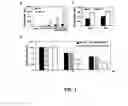 Fig. 02 - Enhancement of Th2-Dependent and Inflammatory Response