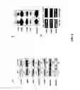 Fig. 05 - Enhancement of Th2-Dependent and Inflammatory Response
