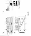 Fig. 06 - Enhancement of Th2-Dependent and Inflammatory Response