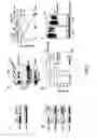 Fig. 07 - Enhancement of Th2-Dependent and Inflammatory Response