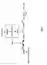 Fig. 08 - Enhancement of Th2-Dependent and Inflammatory Response