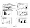 Fig. 09 - Enhancement of Th2-Dependent and Inflammatory Response