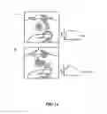 Fig. 15 - Enhancement of Th2-Dependent and Inflammatory Response