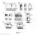 Fig. 18 - Enhancement of Th2-Dependent and Inflammatory Response