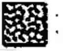 Fig. 03 - CELLULAR IMMUNITY TEST WITH PEPTIDES ATTACHED TO A SOLID SUPPORT