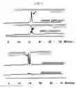 Fig. 07 - Methods for diagnosing celiac sprue and reagents useful therein