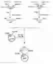 Fig. 01 - Process For Producing Dipeptides or Dipeptide Derivatives