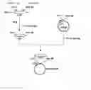 Fig. 03 - Process For Producing Dipeptides or Dipeptide Derivatives