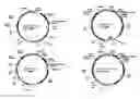 Fig. 01 - Materials and methods to increase peptide chain expression