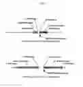 Fig. 03 - Materials and methods to increase peptide chain expression