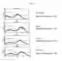 Fig. 04 - Materials and methods to increase peptide chain expression