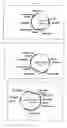 Fig. 10 - Materials and methods to increase peptide chain expression