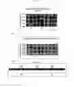 Fig. 11 - Materials and methods to increase peptide chain expression