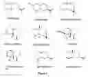 Fig. 04 - Sesquiterpene synthases and methods of use