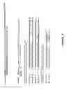 Fig. 05 - Methods and materials relating to stem cell growth factor-like polypeptides and polynucleotides