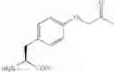 Fig. 111 - Compositions Containing, Methods Involving, and Uses of Non-Natural Amino Acids and Polypeptides