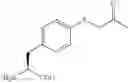 Fig. 131 - Compositions Containing, Methods Involving, and Uses of Non-Natural Amino Acids and Polypeptides