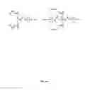 Fig. 20 - Compositions Containing, Methods Involving, and Uses of Non-Natural Amino Acids and Polypeptides