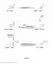 Fig. 30 - Compositions Containing, Methods Involving, and Uses of Non-Natural Amino Acids and Polypeptides