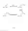Fig. 31 - Compositions Containing, Methods Involving, and Uses of Non-Natural Amino Acids and Polypeptides