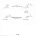 Fig. 33 - Compositions Containing, Methods Involving, and Uses of Non-Natural Amino Acids and Polypeptides