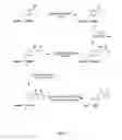 Fig. 34 - Compositions Containing, Methods Involving, and Uses of Non-Natural Amino Acids and Polypeptides