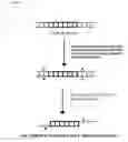 Fig. 02 - Novel Method for Assembling DNA Metasegments to use as Substrates for Homologous Recombination in a Cell