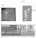 Fig. 06 - Novel Method for Assembling DNA Metasegments to use as Substrates for Homologous Recombination in a Cell