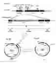 Fig. 03 - Process for producing prenyl alcohols