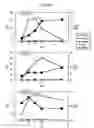 Fig. 13 - Process for producing prenyl alcohols