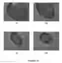 Fig. 18 - Magnetofluidics
