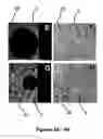 Fig. 07 - Planar electroporation apparatus and method