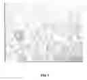 Fig. 02 - Stabilization of enzymes in an emulsion by cross-linking