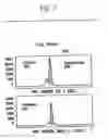 Fig. 03 - Methods for the Reduction of Stutter in Microsatellite Amplification