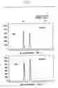Fig. 07 - Methods for the Reduction of Stutter in Microsatellite Amplification