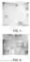 Fig. 02 - Method for culturing dendritic cells (DC) and cytokine-induced killer cells (D-CIK) and applications thereof
