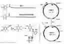 Fig. 01 - Compositions and methods for nucleic acid delivery