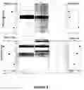 Fig. 07 - Method And System For Identification Of Antigen