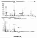 Fig. 19 - Method And System For Identification Of Antigen