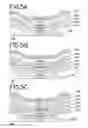 Fig. 06 - Light emitting device