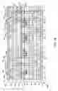 Fig. 10 - Dual wired integrated circuit chips