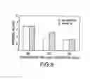 Fig. 08 - Selective copper-silicon-nitride layer formation for an improved dielectric film/copper line interface