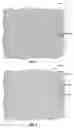 Fig. 02 - Base layer apparel