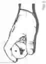 Fig. 06 - TOY SPINNING TOP