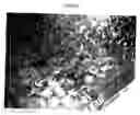 Fig. 03 - Water-Based Polymer Drilling Fluid and Method of Use