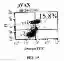 Fig. 04 - Methods and compositions for reducing activity of the atrial natriuretic peptide receptor and for treatment of diseases