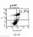 Fig. 05 - Methods and compositions for reducing activity of the atrial natriuretic peptide receptor and for treatment of diseases