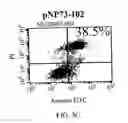 Fig. 06 - Methods and compositions for reducing activity of the atrial natriuretic peptide receptor and for treatment of diseases