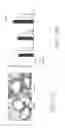 Fig. 13 - Methods and compositions for reducing activity of the atrial natriuretic peptide receptor and for treatment of diseases