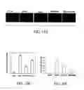 Fig. 20 - Methods and compositions for reducing activity of the atrial natriuretic peptide receptor and for treatment of diseases